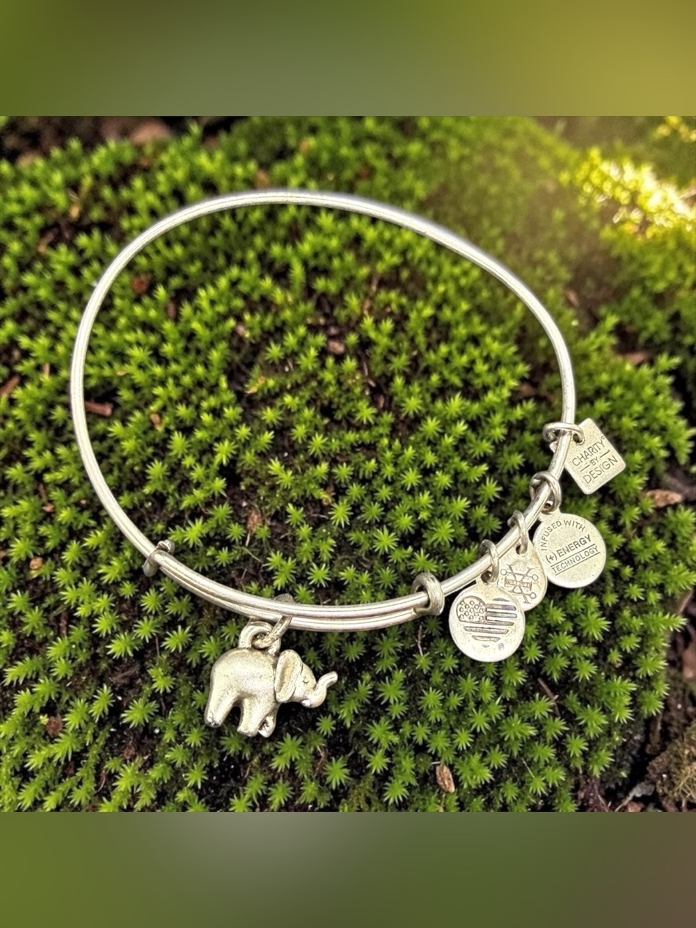 🏷️‼️5/$25🏷️‼️🐘ALEX & ANI🐘Charity by Design Elephant Charm Bangle in RS/GC